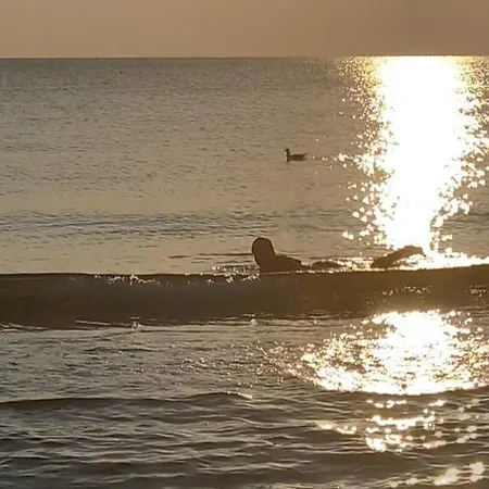 Vicino Al Mare