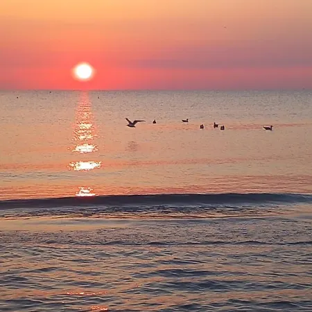 Vicino Al Mare Alba Adriatica